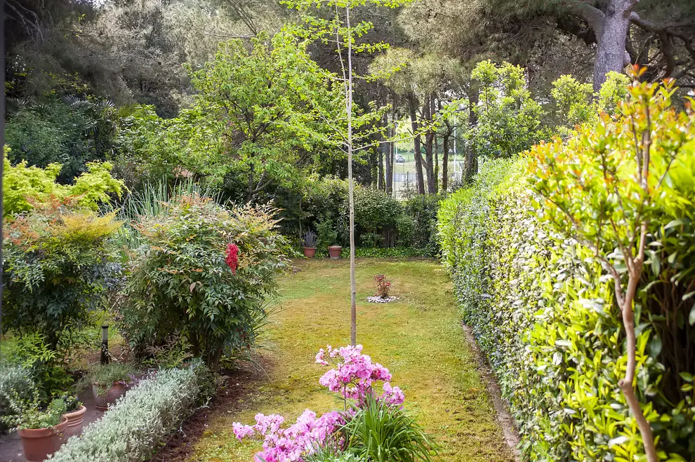 Ferienwohnung in Rovinj  999204360 32564 – Foto 29