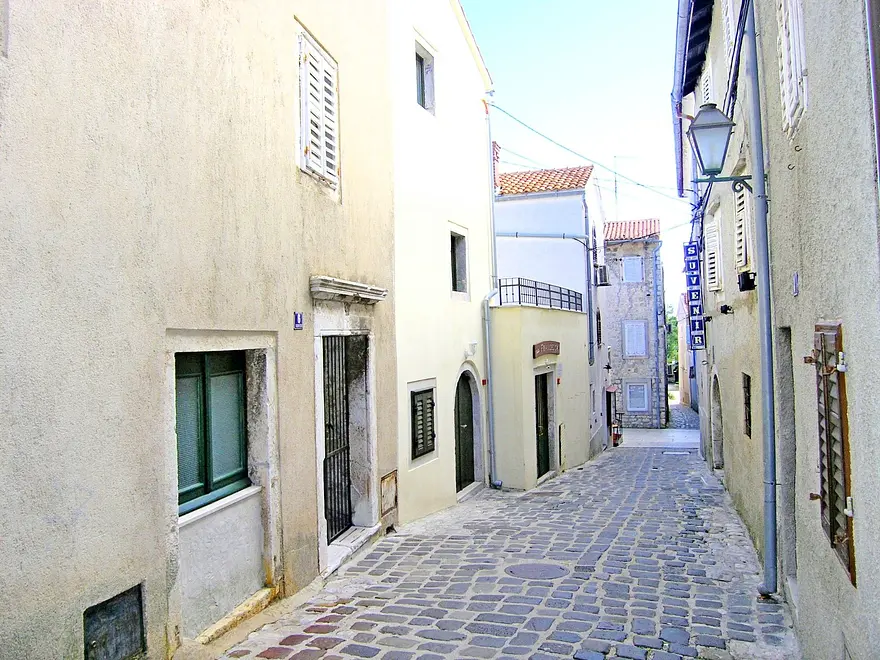 Ferienwohnung in Krk haustiergeeignet 66118680 7098