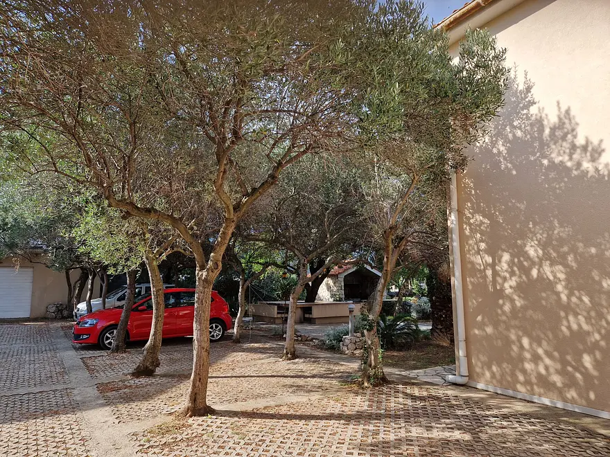 Ferienwohnung in Novalja  999206604 34702 – Foto 2