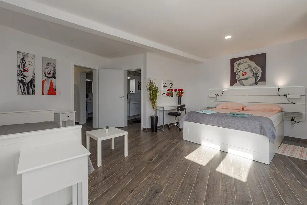 Ferienhaus in Rovinj mit Pool 999223210 41601 – Foto 8