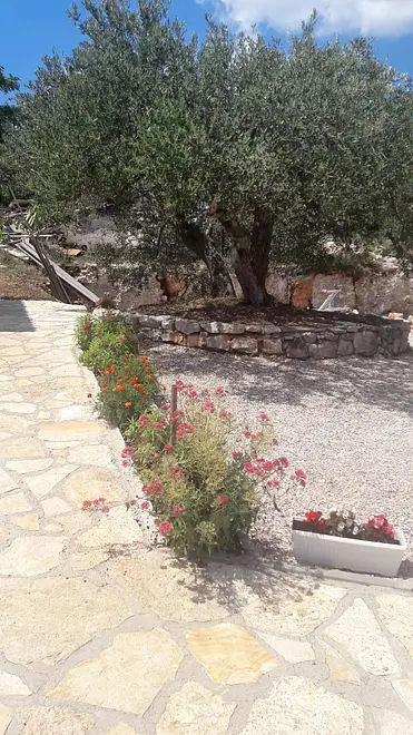 Ferienwohnung in Sibenik  999212816 40389 – Foto 16