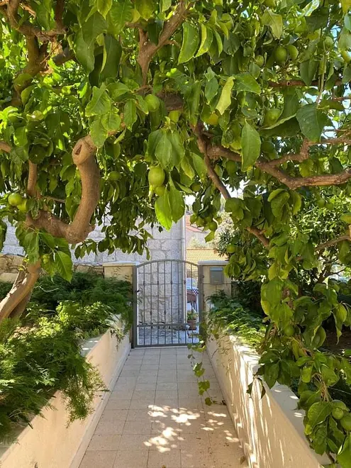 Ferienwohnung in Korcula haustiergeeignet 999207454 35502 – Foto 29