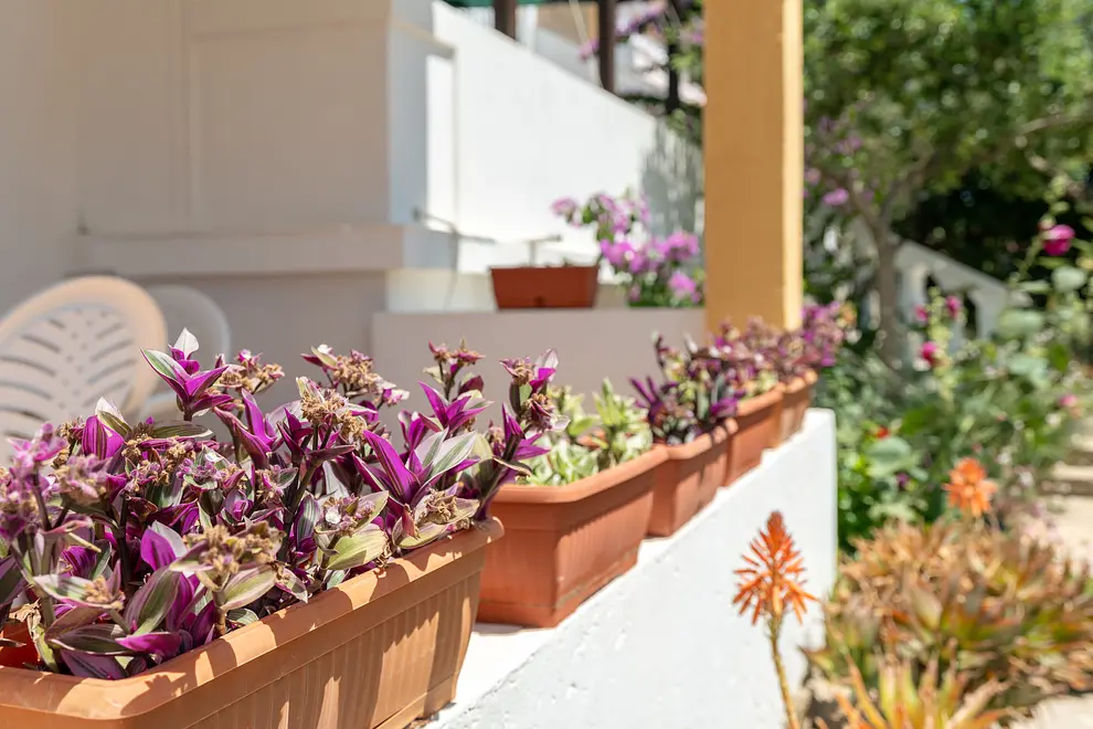 Ferienwohnung in Pag  661889 92