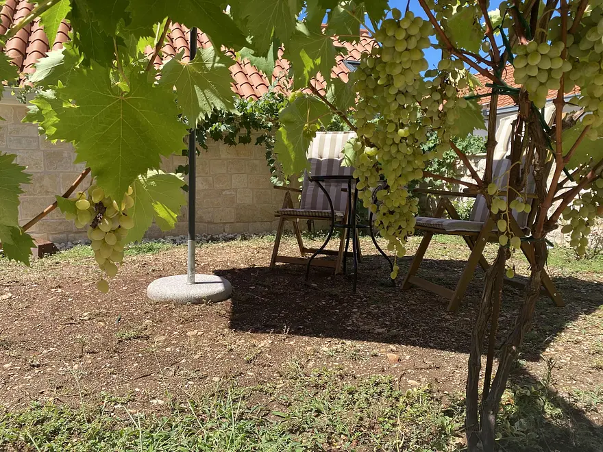 Ferienwohnung in Ciovo  999210333 38197 – Foto 9