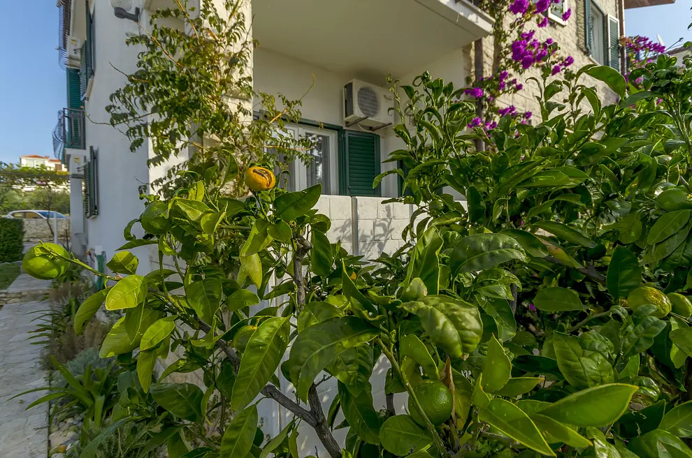 Ferienwohnung in Ciovo  66124585 11547