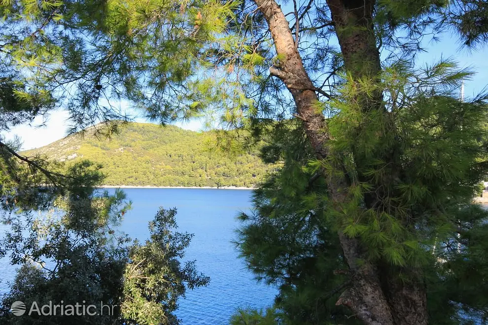 Ferienwohnung in Korcula  999204058 32270 – Foto 8