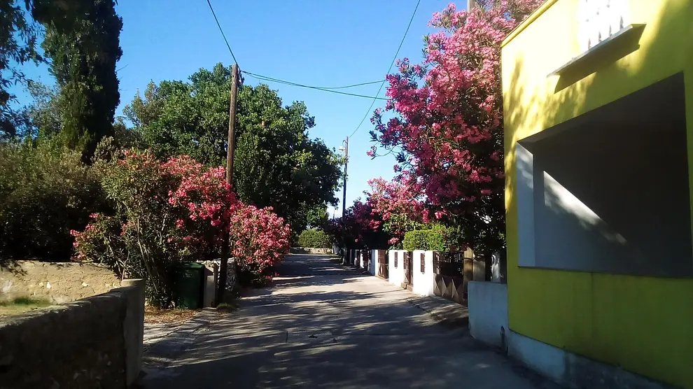 Ferienwohnung in Zadar  999209773 37679 – Foto 15