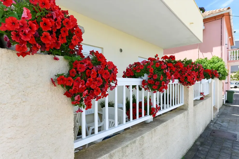 Ferienwohnung in Kali  999212936 40491 – Foto 13