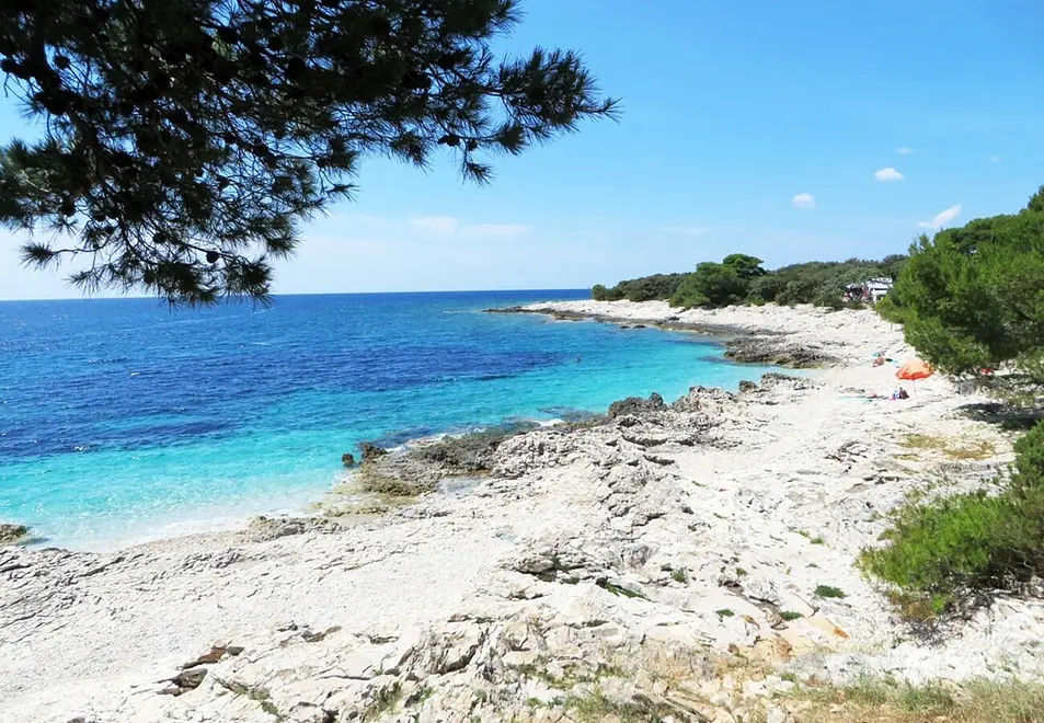 Ferienwohnung in Dugi Otok haustiergeeignet 999210942 38770 – Foto 8
