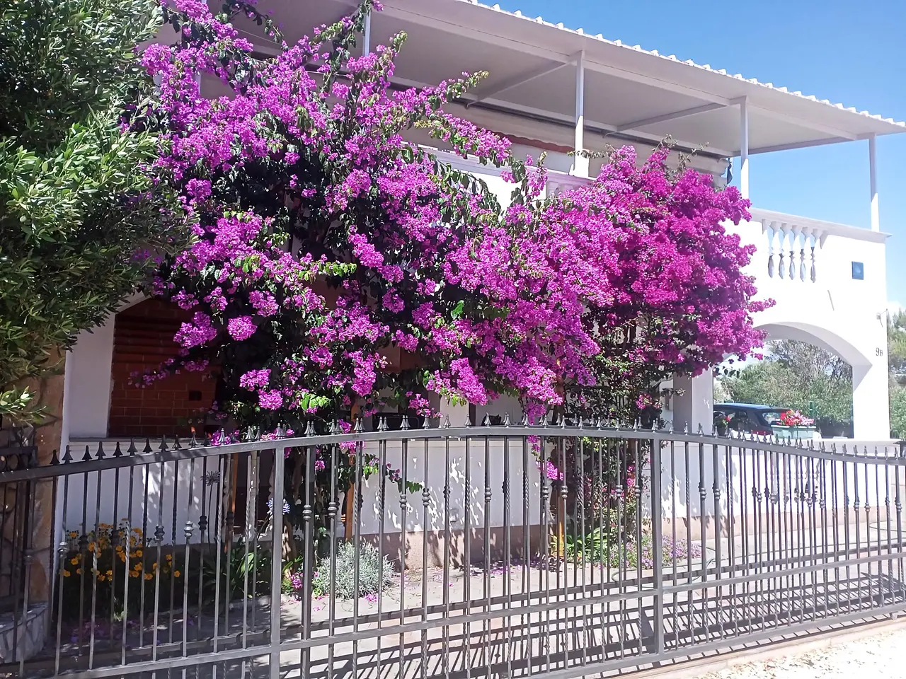 Ferienwohnung in Biograd  999211451 39224