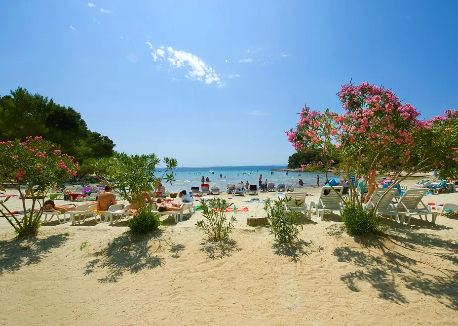 Ferienwohnung in Biograd haustiergeeignet 999209471 37394 – Foto 5