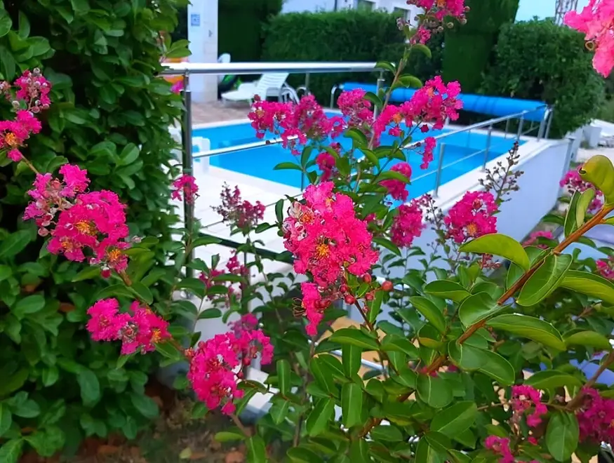 Ferienwohnung in Buje mit Pool 999227614 42517 – Foto 22