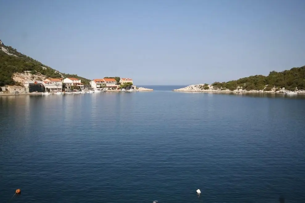 Ferienwohnung in Lastovo haustiergeeignet 66152098 26046