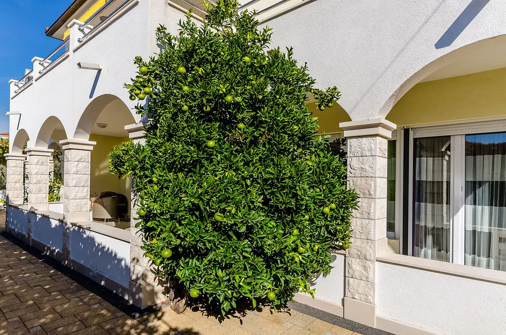 Ferienwohnung in Ciovo  999209115 37046 – Foto 5