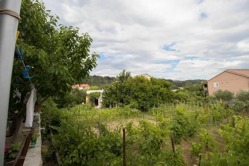 Ferienwohnung in Palit  999203611 31849 – Foto 3