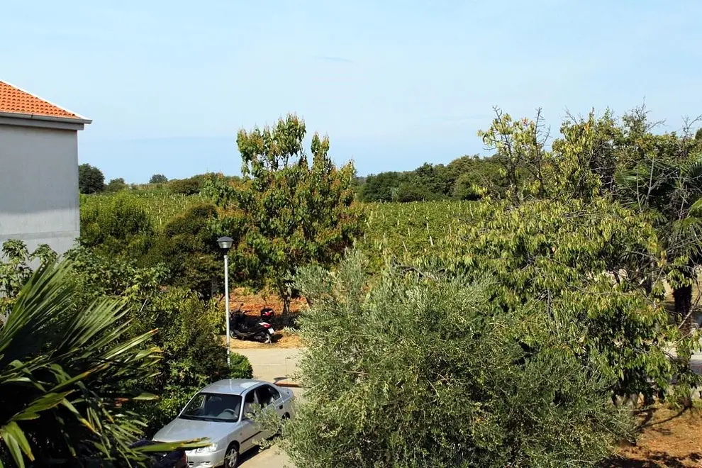 Ferienwohnung in Novigrad in Dalmatien  999209925 37820 – Foto 9