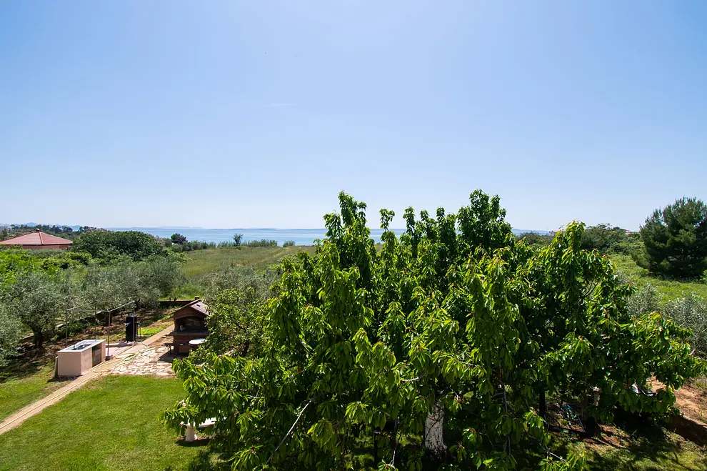 Ferienwohnung in Nin  66130653 16206