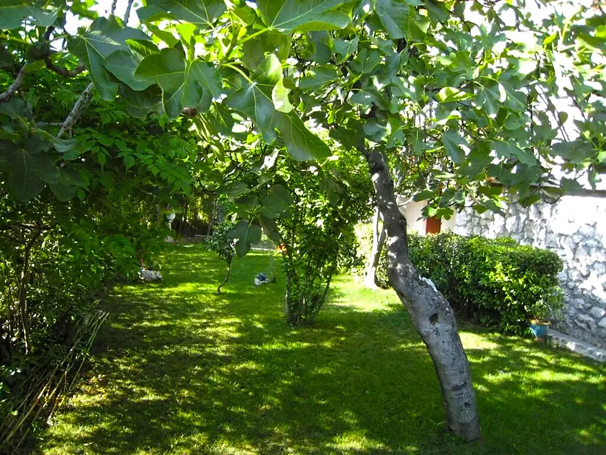 Ferienwohnung in Biograd haustiergeeignet 999210864 38698 – Foto 20
