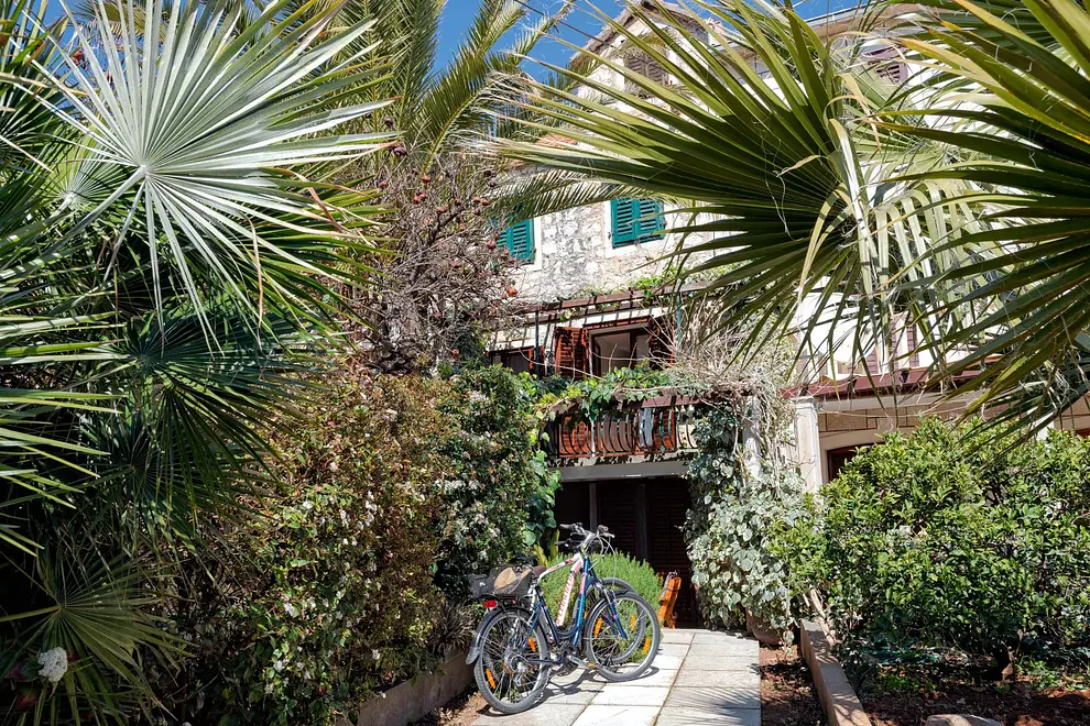 Ferienwohnung in Hvar haustiergeeignet 66120100 8166