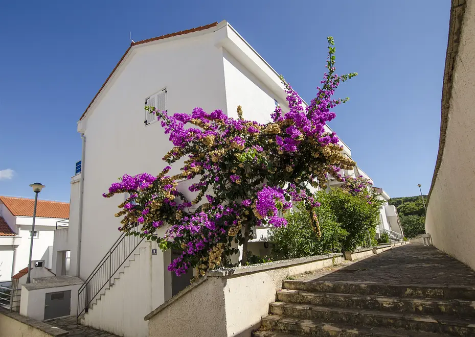 Ferienwohnung in Solta  999205213 33380 – Foto 4