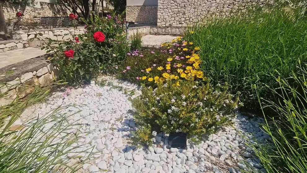 Ferienwohnung in Rogoznica  999202599 30875