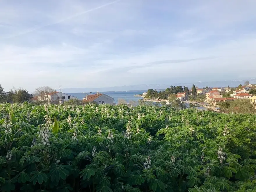 Ferienwohnung in Preko  999209779 37685 – Foto 26