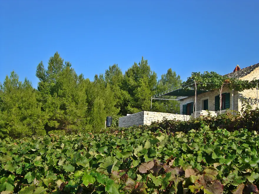 Ferienwohnung in Brac haustiergeeignet 999202903 31172 – Foto 27