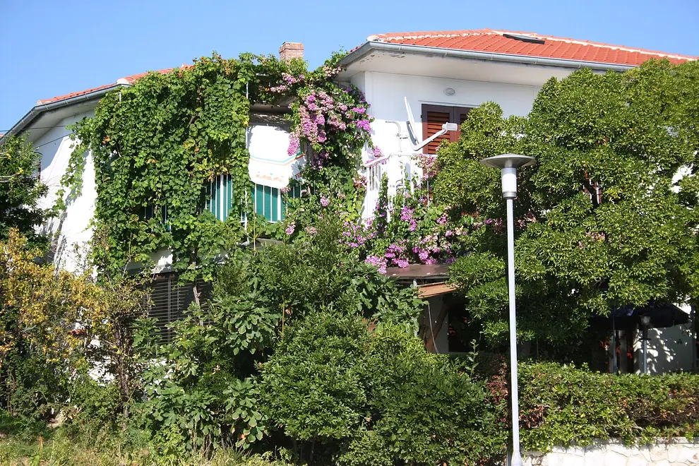Ferienwohnung in Barbat  999210394 38256 – Foto 15