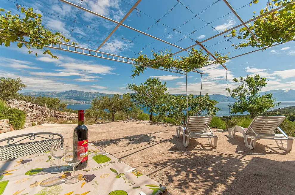 Ferienwohnung in Brac haustiergeeignet 66120436 8438