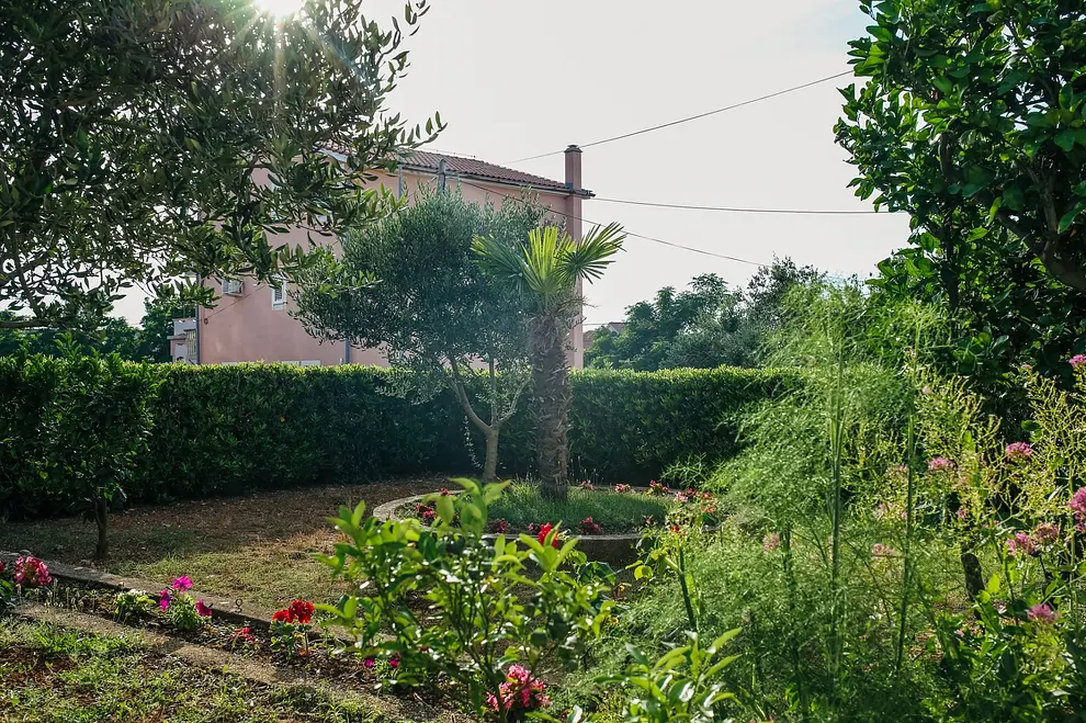 Ferienappartment in Novalja  999209831 37731 – Foto 13