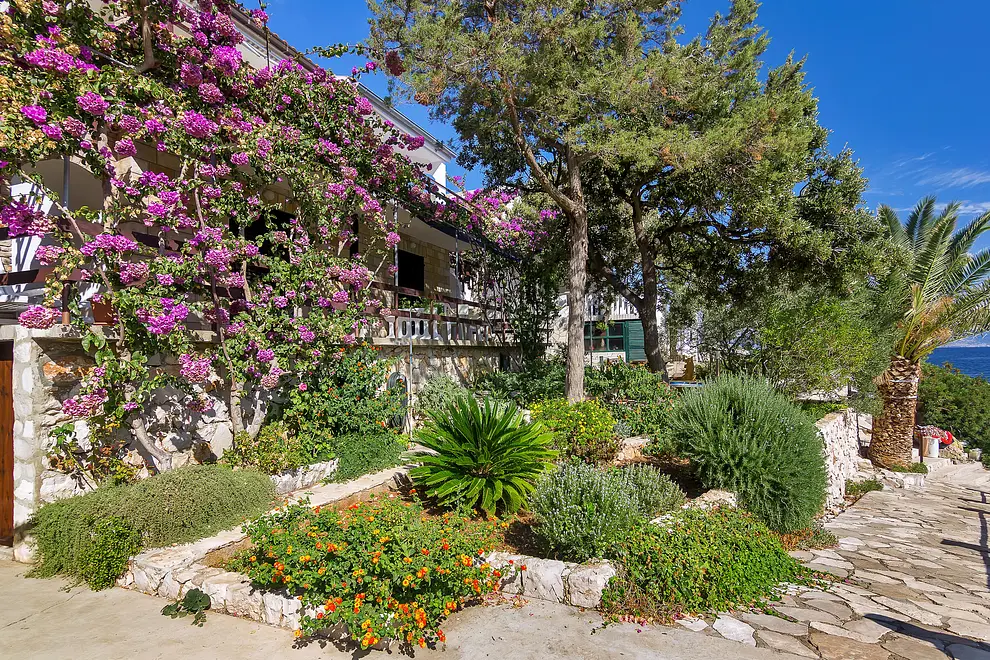 Ferienwohnung in Hvar haustiergeeignet 66128655 14746