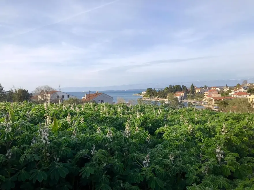 Ferienwohnung in Preko  999227350 42455 – Foto 17