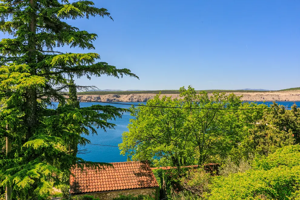 Ferienwohnung in Crikvenica haustiergeeignet 66110240 3440