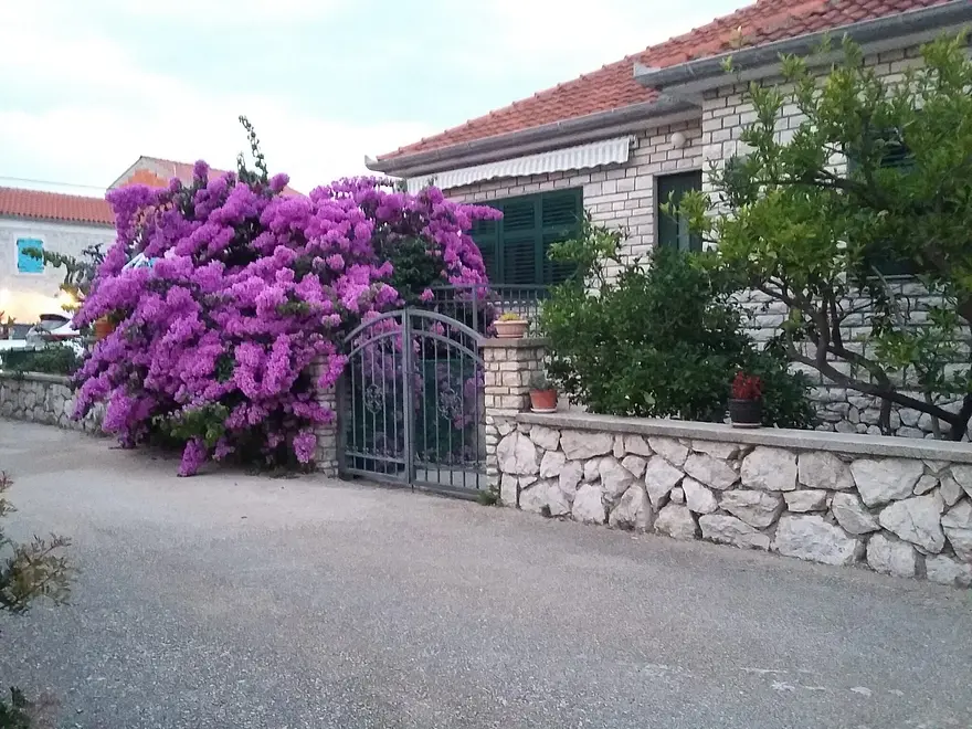 Ferienwohnung in Pasman haustiergeeignet 66125507 12237