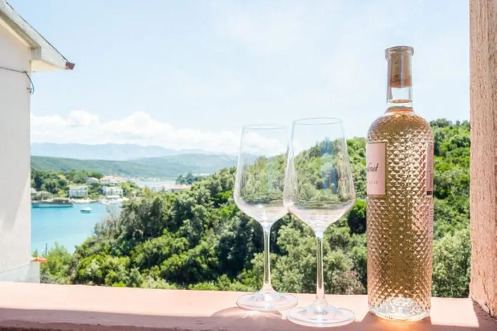 Ferienwohnung in Rab haustiergeeignet 66154340 27734