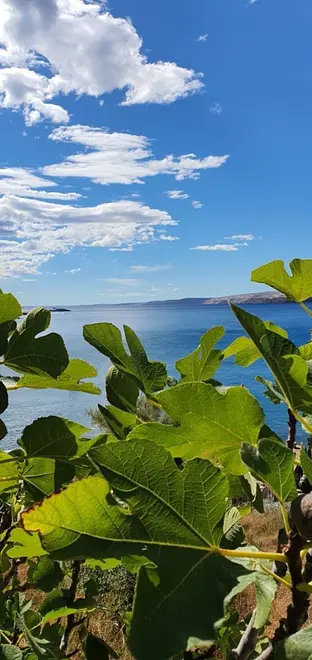 Ferienwohnung in Karlobag  66155342 28309