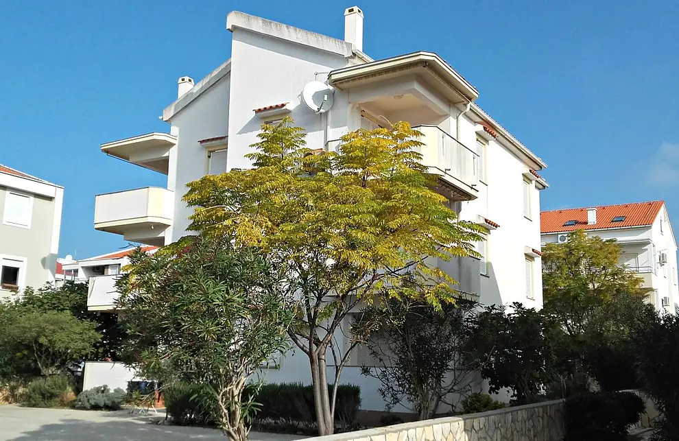 Ferienwohnung in Novalja haustiergeeignet 66126462 13008