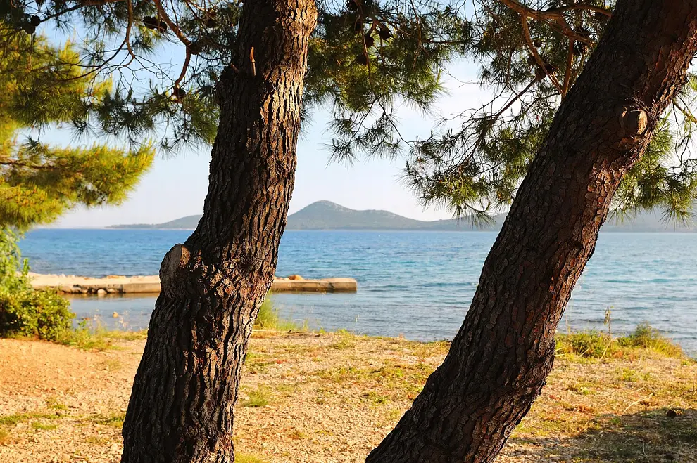 Ferienwohnung in Biograd haustiergeeignet 999209662 37581