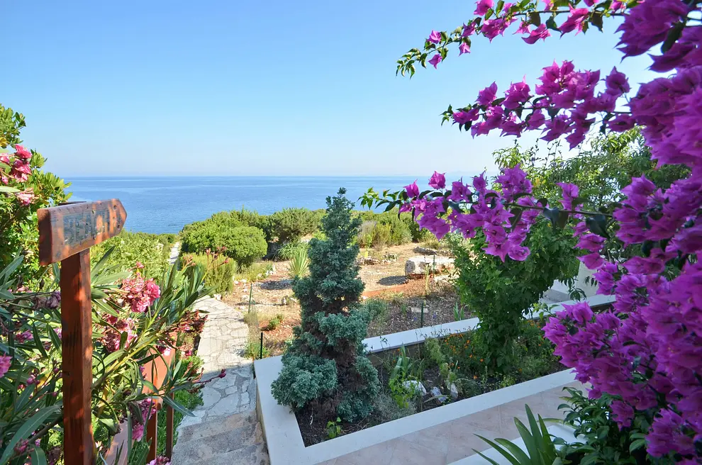 Ferienwohnung in Korcula  999203555 31793 – Foto 31