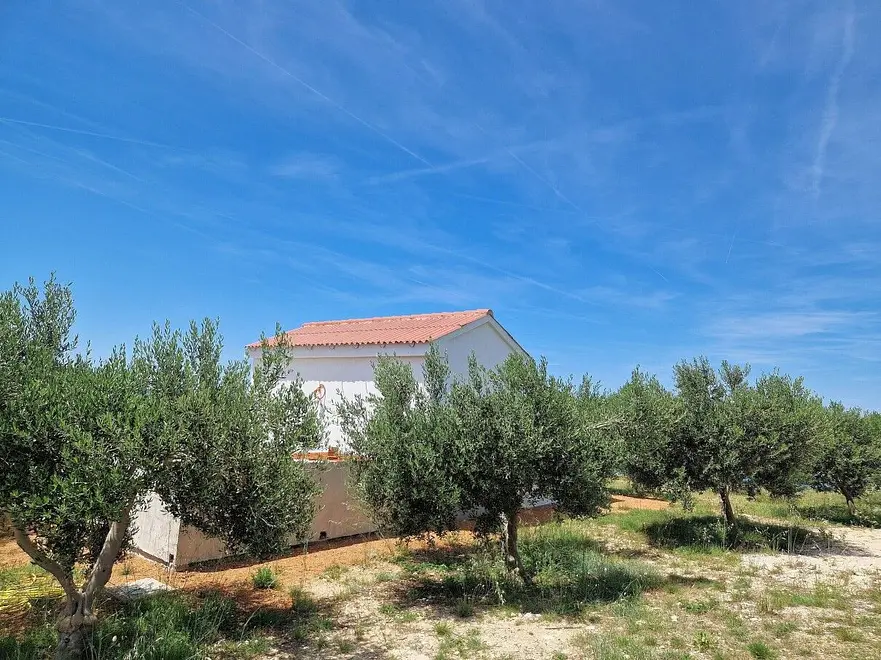Ferienwohnung in Novalja  999212791 40364 – Foto 33