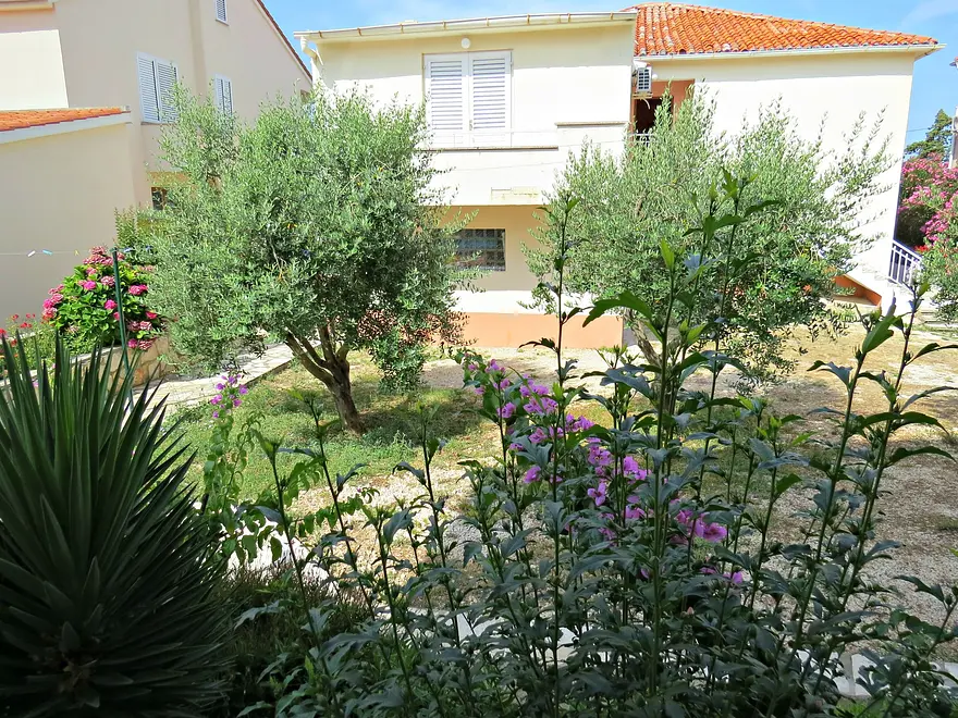 Ferienwohnung in Novalja haustiergeeignet 66126011 12628