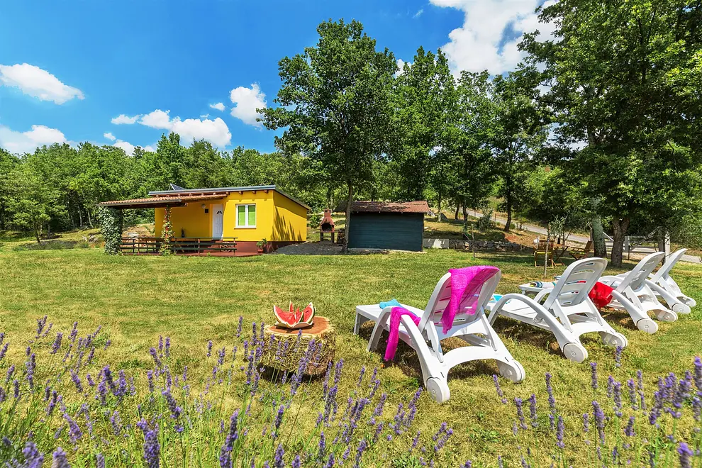 Ferienwohnung in Buzet  999205769 33907