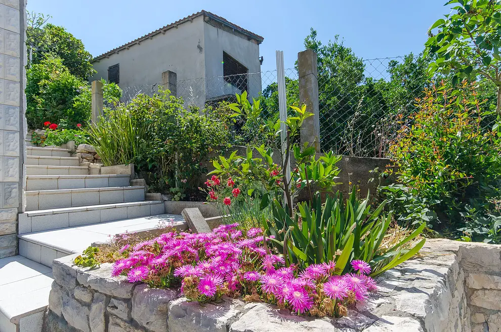 Ferienwohnung in Korcula haustiergeeignet 66120556 8523