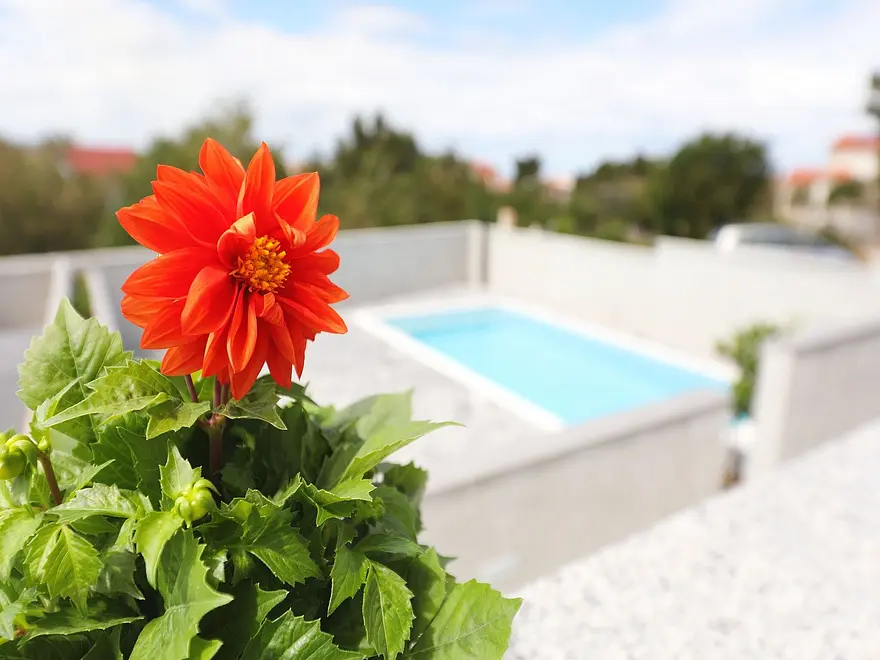 Ferienwohnung in Starigrad mit Pool 999208837 36784 – Foto 23