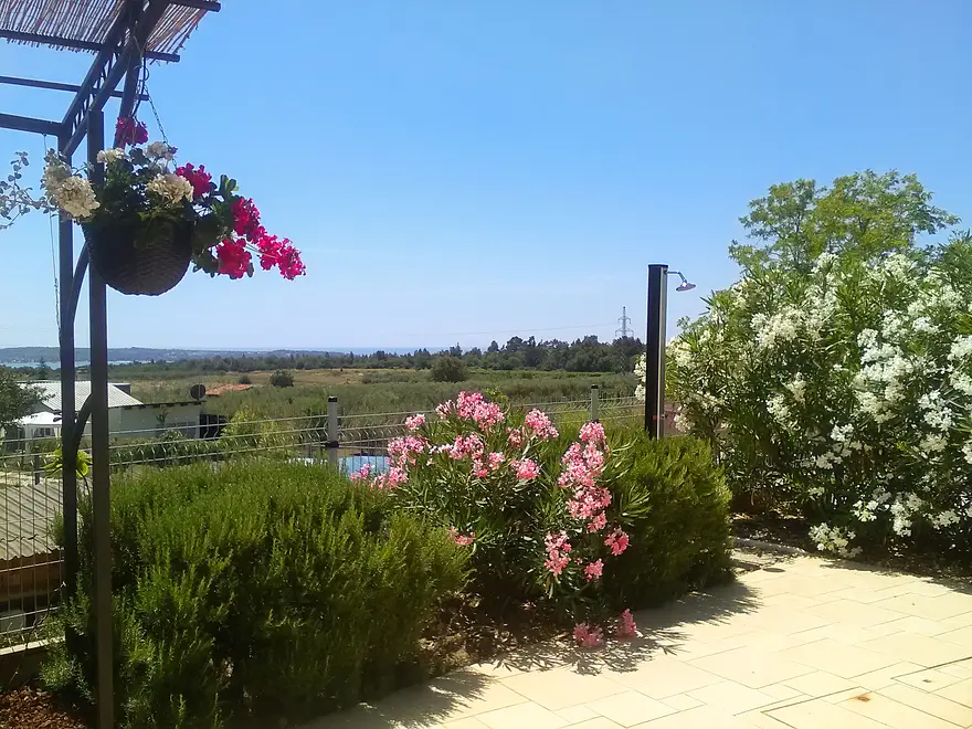 Ferienhaus in Novigrad in Dalmatien mit Pool 999208812 36761 – Foto 16