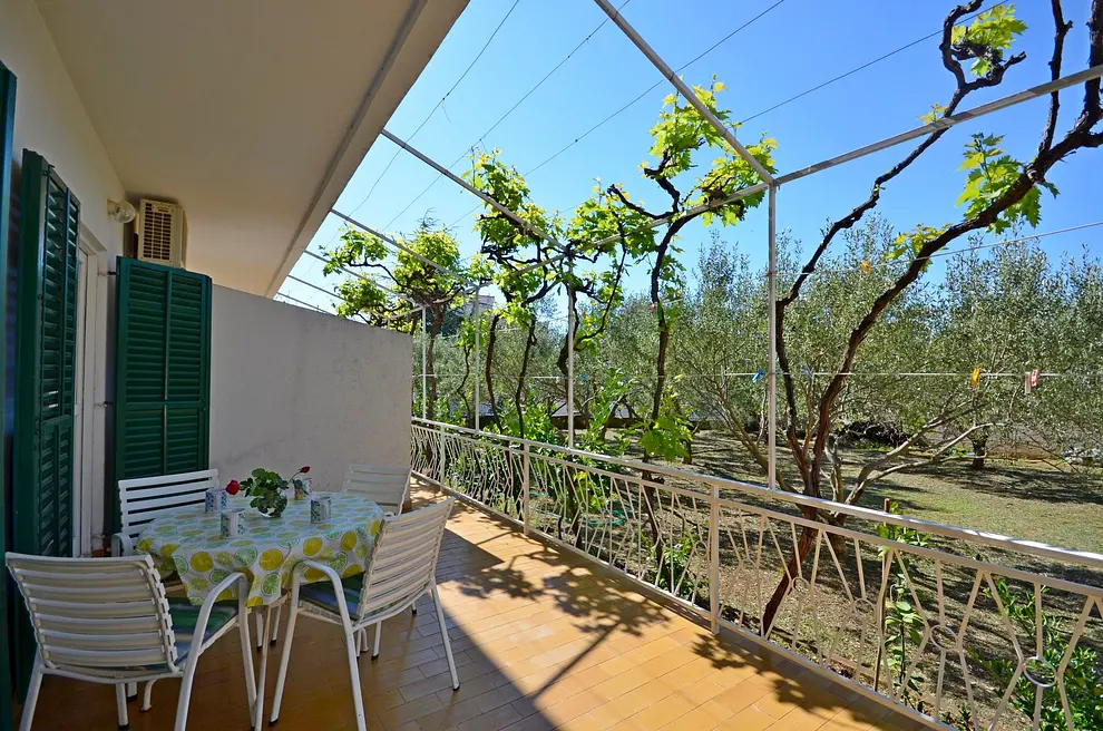 Ferienwohnung in Vodice  66125750 12432