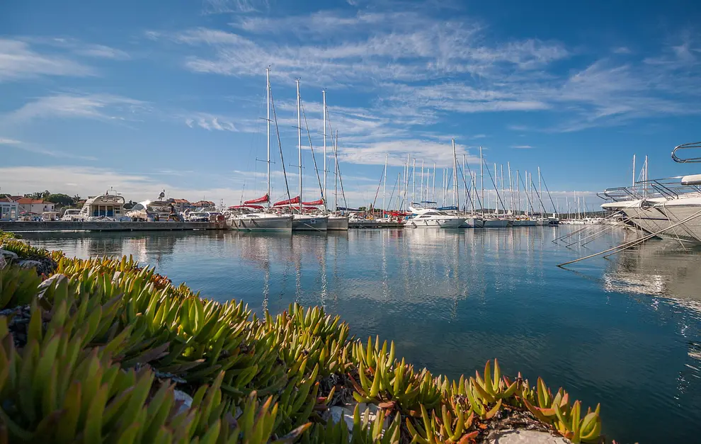 Ferienwohnung in Biograd haustiergeeignet 999209883 37782 – Foto 6