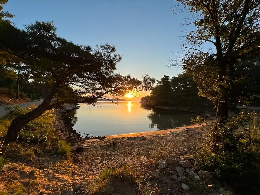 Ferienwohnung in Hvar haustiergeeignet 66125202 12000