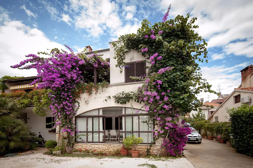 Ferienwohnung in Rovinj  999209154 37084 – Foto 24