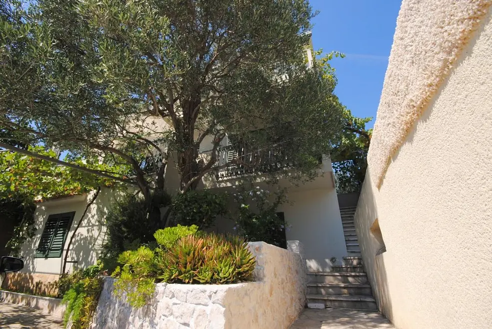 Ferienwohnung in Ciovo haustiergeeignet 66152755 26563